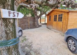 psychanalyste, psychanalyse, hypnose, hypnothérapie, EMDR, sexothérapie, sexothérapeute, Tarascon, Bouches-du-Rhône, Nimes, Arles